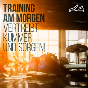 Training am Morgen vertreibt Kummer und Sorgen!