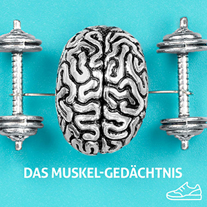 Das Muskel-Gedächtnis